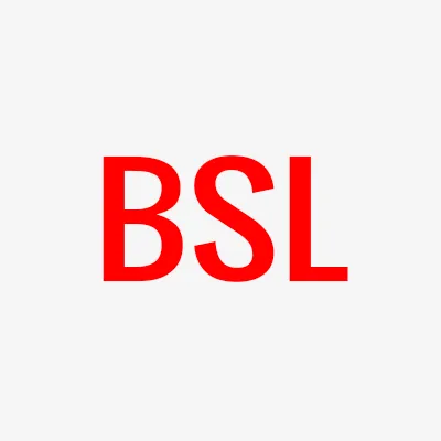 Bruce S Lessing, Inc