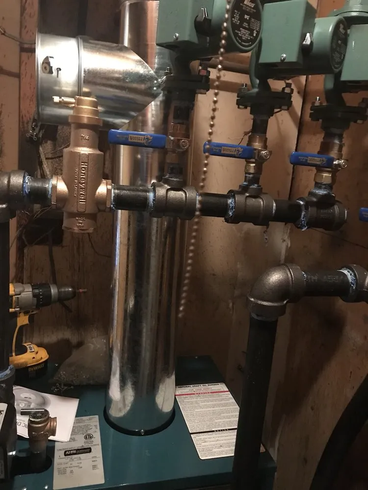 Slide of Bruni & Campisi