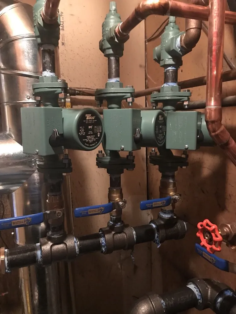 Slide of Bruni & Campisi