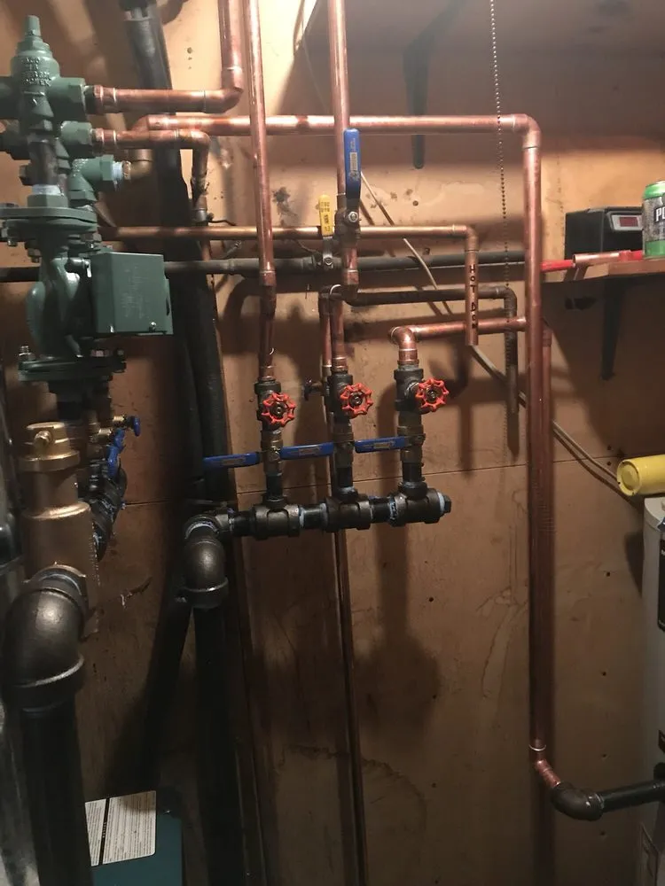 Slide of Bruni & Campisi