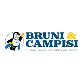 Slide of Bruni & Campisi