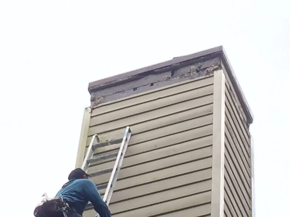 Slide of Brush & Roll