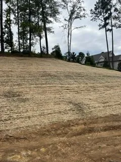 Slide of Brushes/Nails