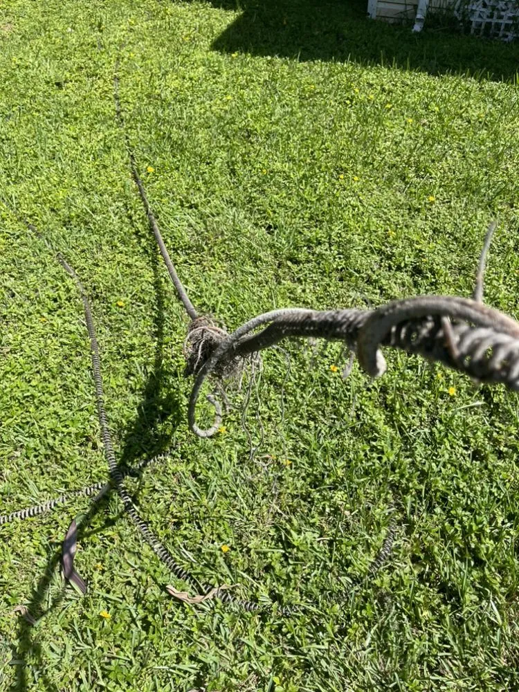 Slide of Bruz Service