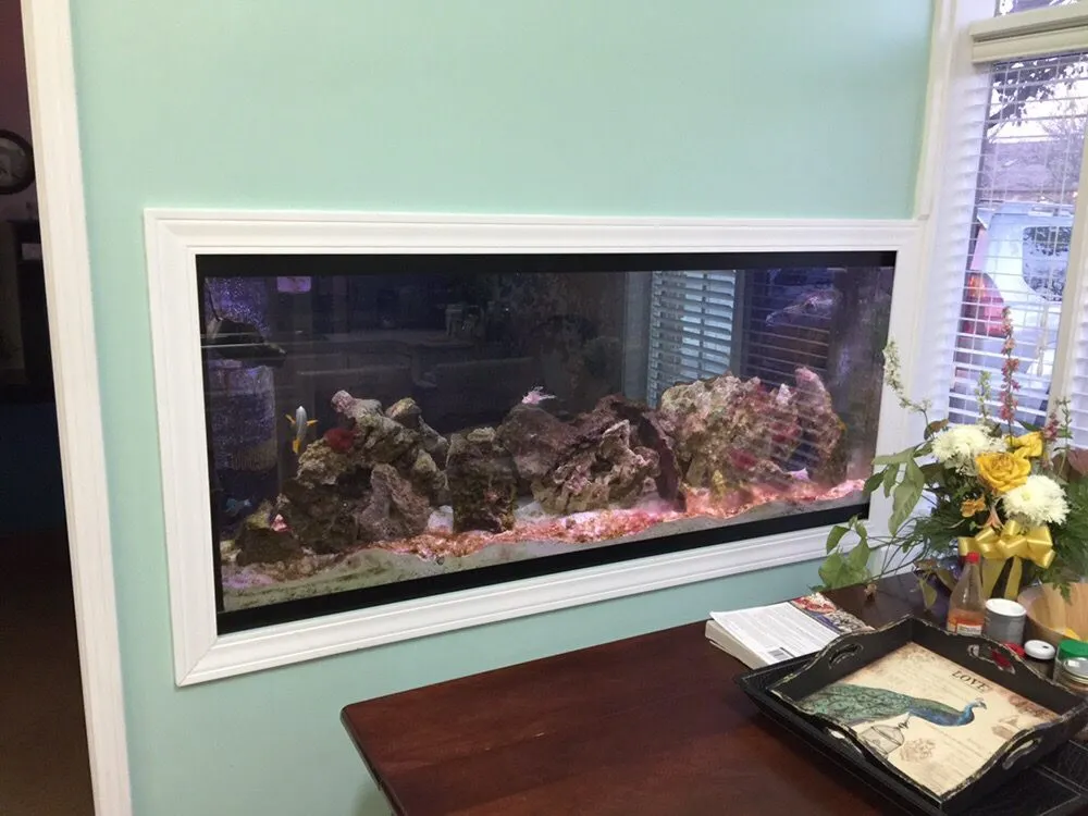 Slide of Bryan C Wilkins