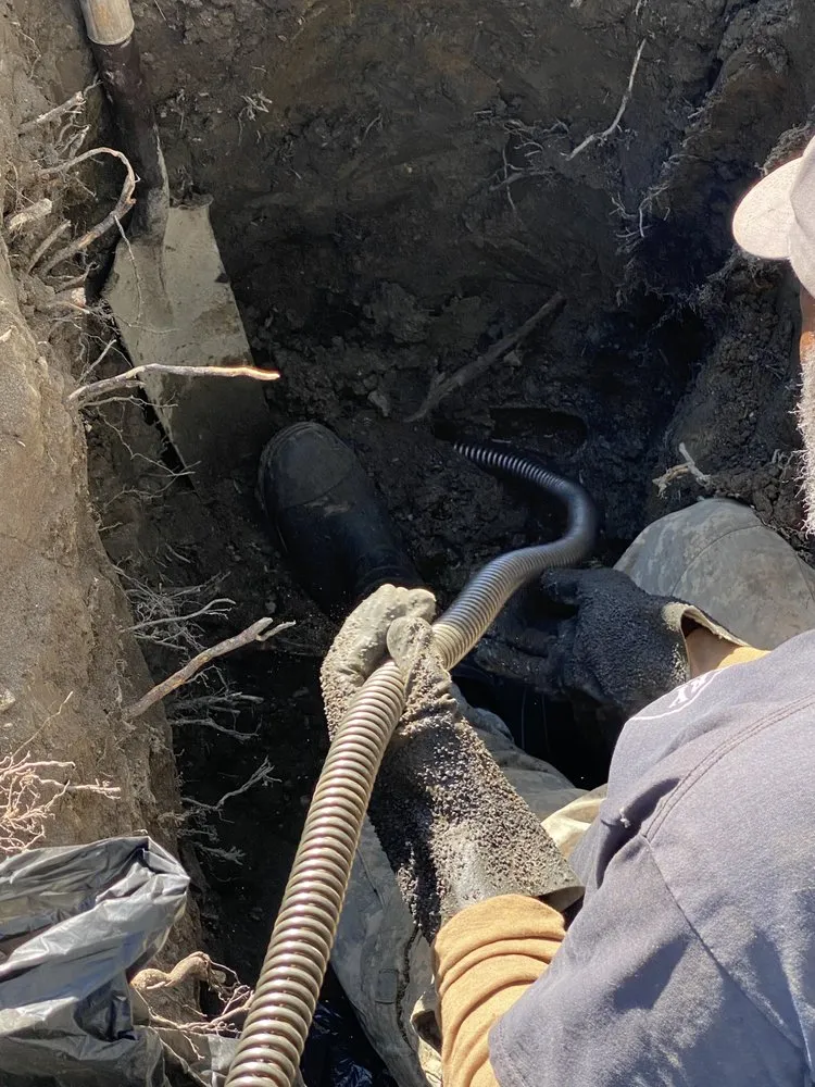 Slide of Bryant & Sons