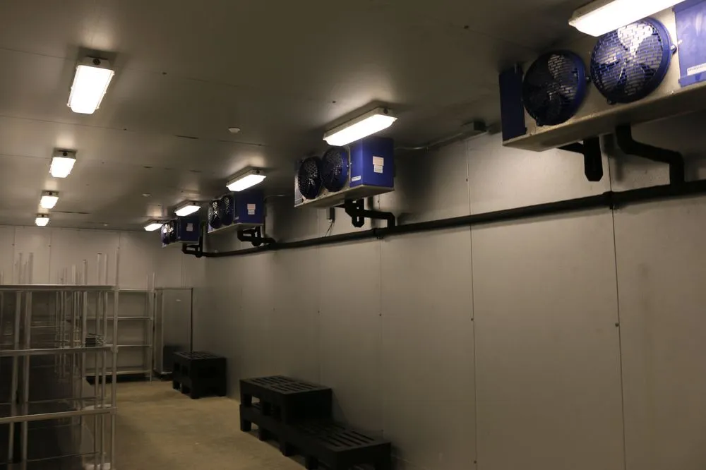 Slide of BT Construction