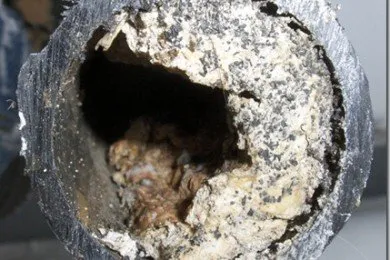 Slide of BTown Plumber