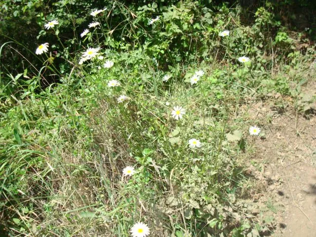 Slide of Bubbles Drain Cleaning & Plumbing Repair