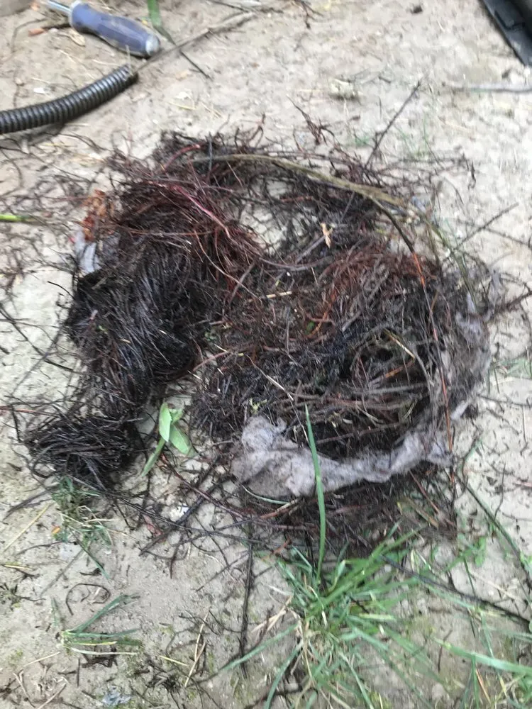 Professional emergency plumbing service in Pasadena, CA - Bubbles Plumbing & Electrical