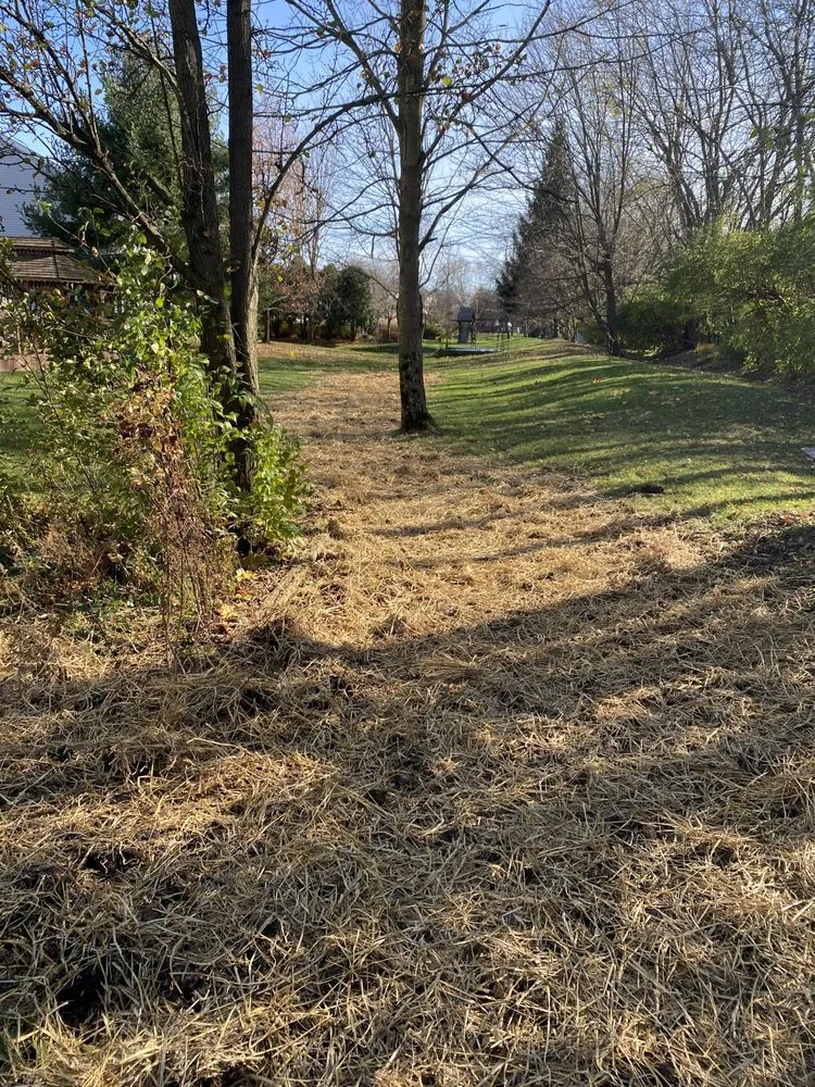 Slide of Buckeye Excavation