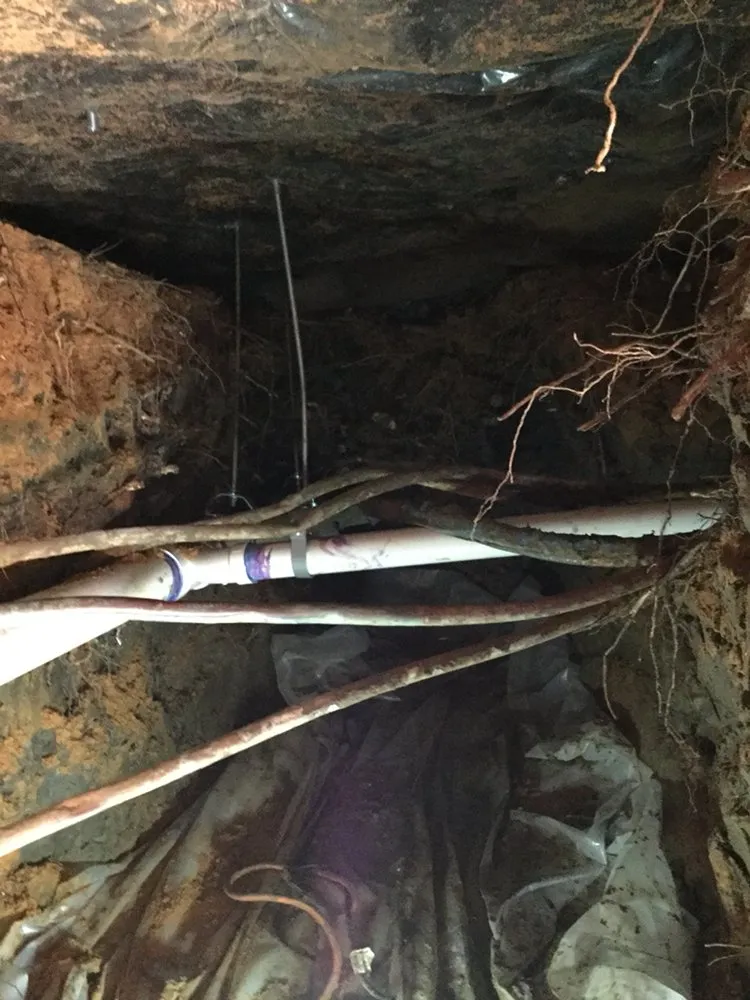 Slide of Buckeye Plumbing & Drain