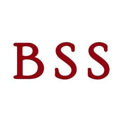 Bud Sewer Service Logo