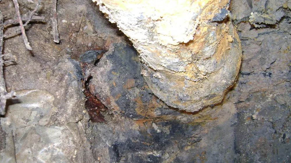 Slide of Buddy's Plumbing