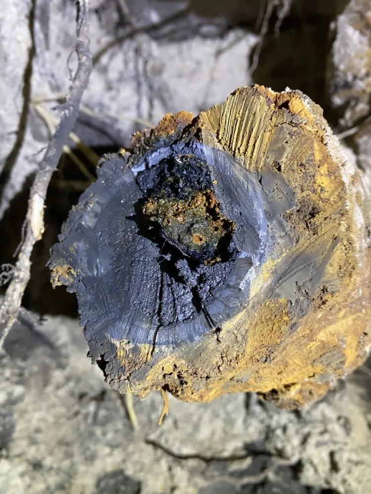 Slide of Buddy's Plumbing