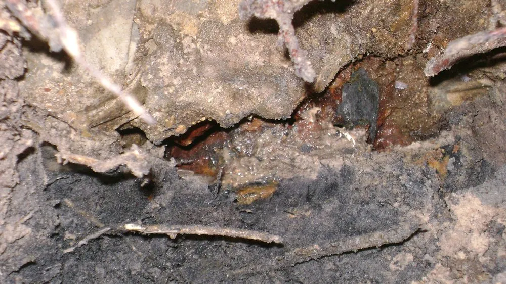 Slide of Buddy's Plumbing