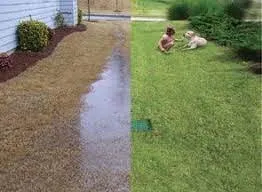 Slide of Budget Drainage Solutions