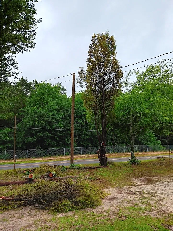 Slide of Budget Handyman Solutions