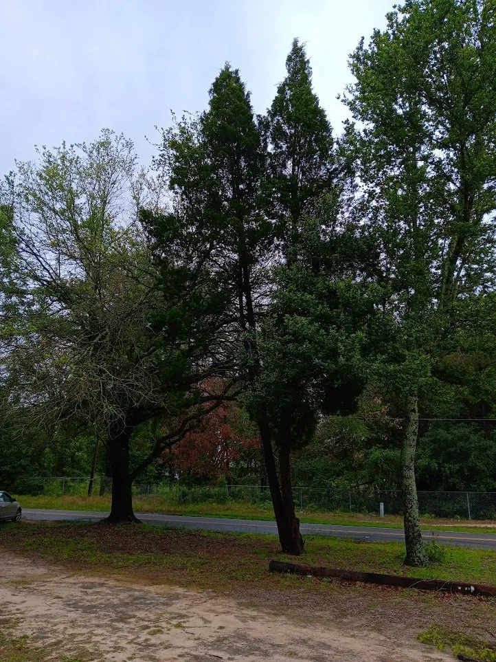 Professional water heater service service in Augusta, GA - Budget Handyman Solutions