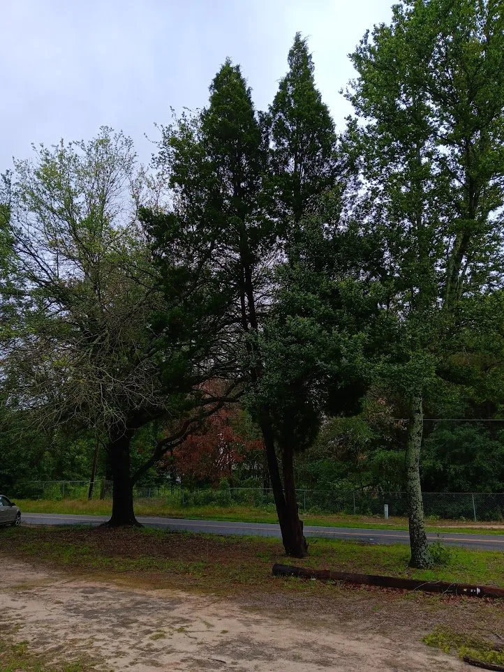 Affordable water heater service for homes in Augusta, GA by Budget Handyman Solutions