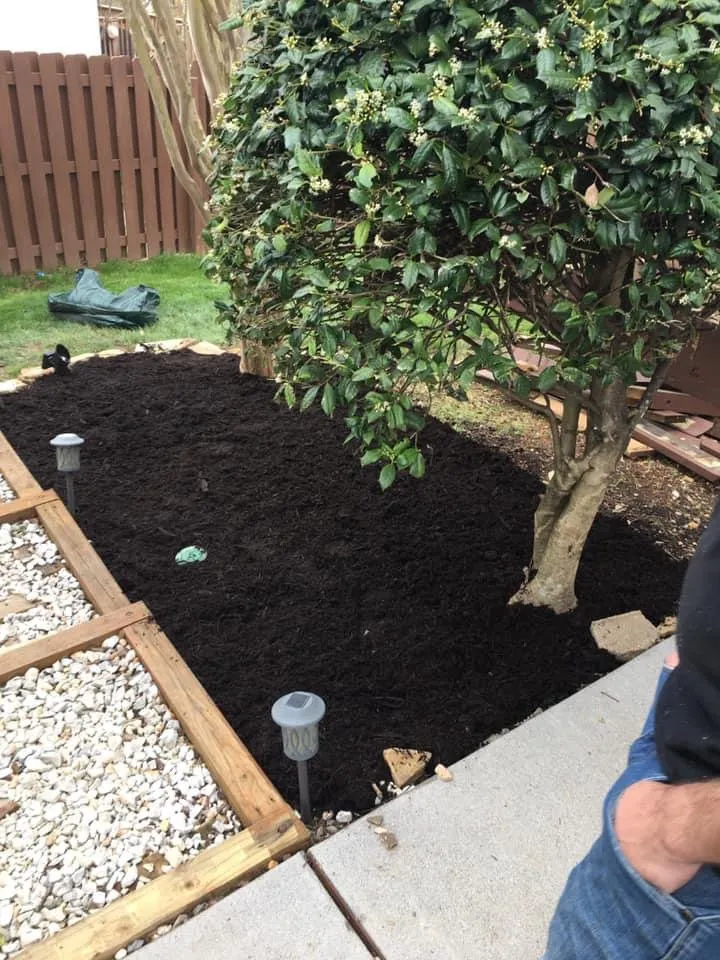 Slide of Budget Plumbing & Handyman Services