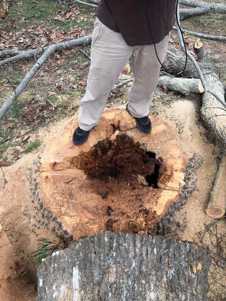Emergency pipe repair experts serving Knoxville, TN - Budget Plumbing & Handyman Services