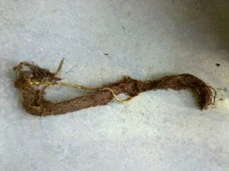 Slide of Budget Plumbing & Water Heater Repair