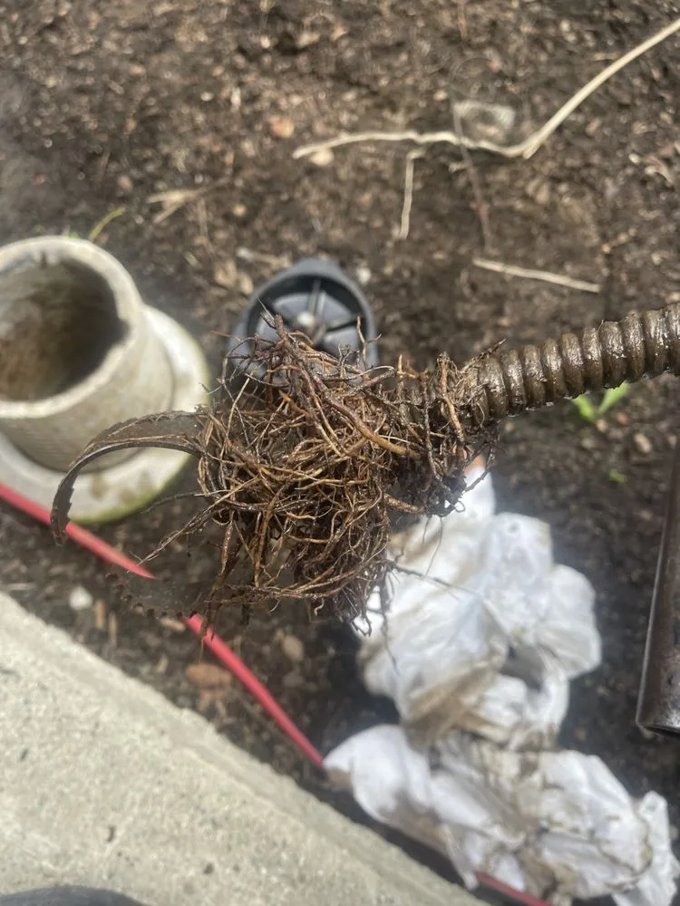 Slide of Budget Plumbing