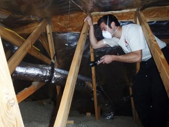 Slide of Budget Professional Services