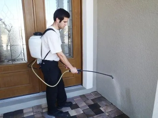 Budget Professional Services