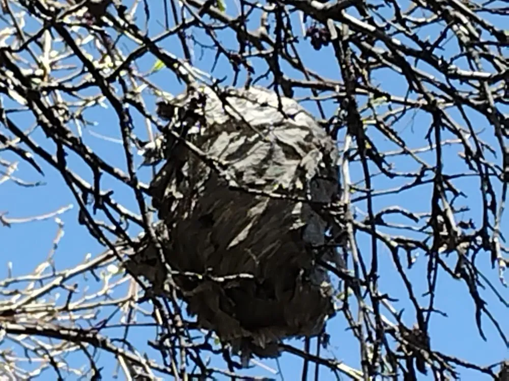 Slide of Budget Repair