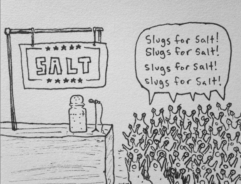 Slide of Budget Repair