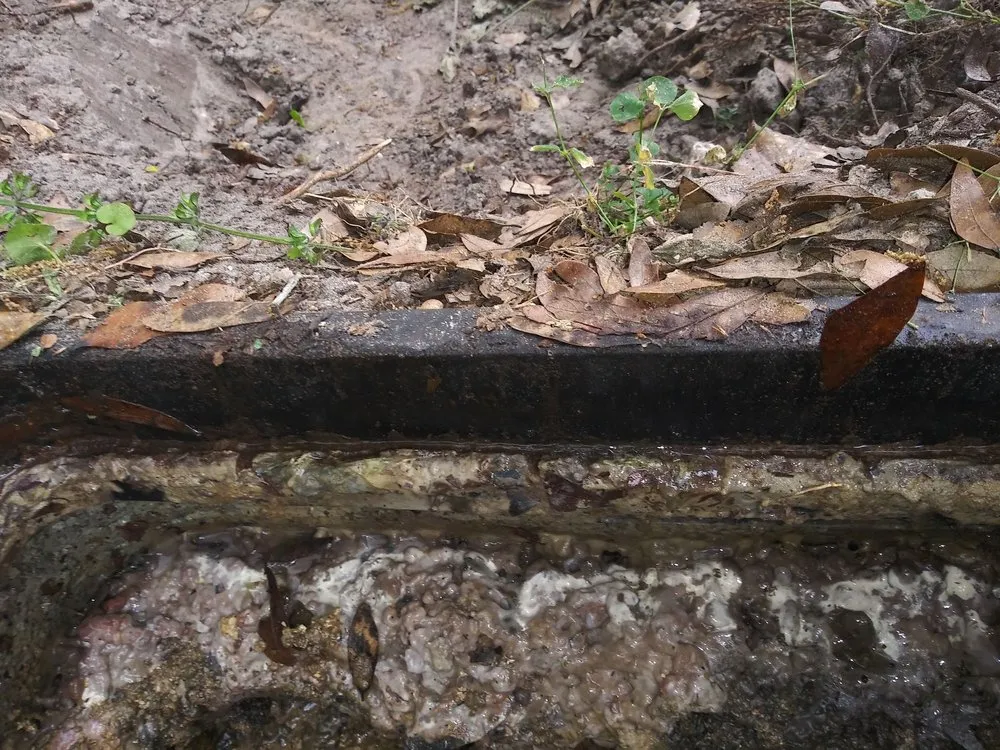 Slide of Budget Rooter