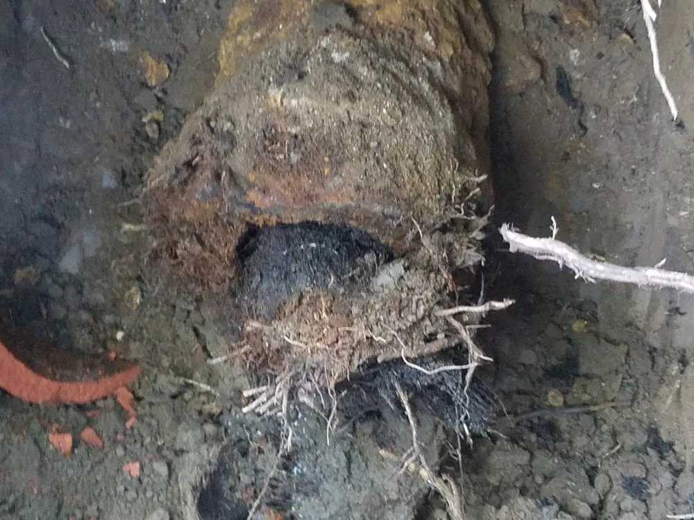 Slide of Bud's Plumbing Services