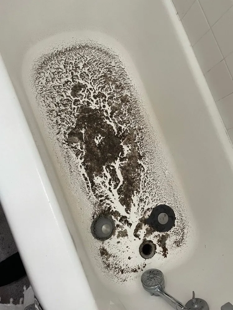 Affordable leak detection service in Yorktown, VA - Bud's