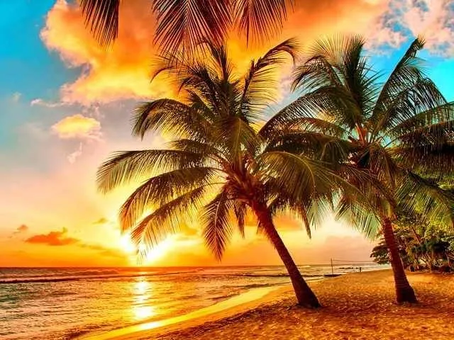 Slide of Buena Vista Plumbing