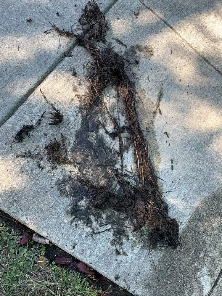 Affordable water heater service experts serving San Jose, CA - Bueno Plumbing and Rooter