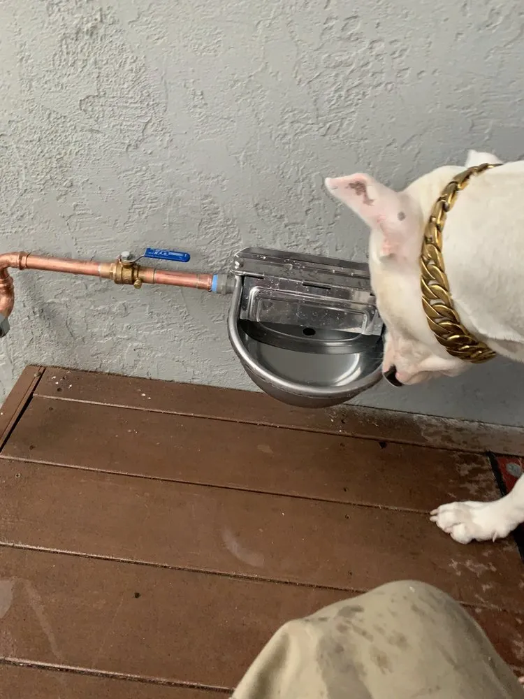 Slide of Bueno Plumbing and Rooter