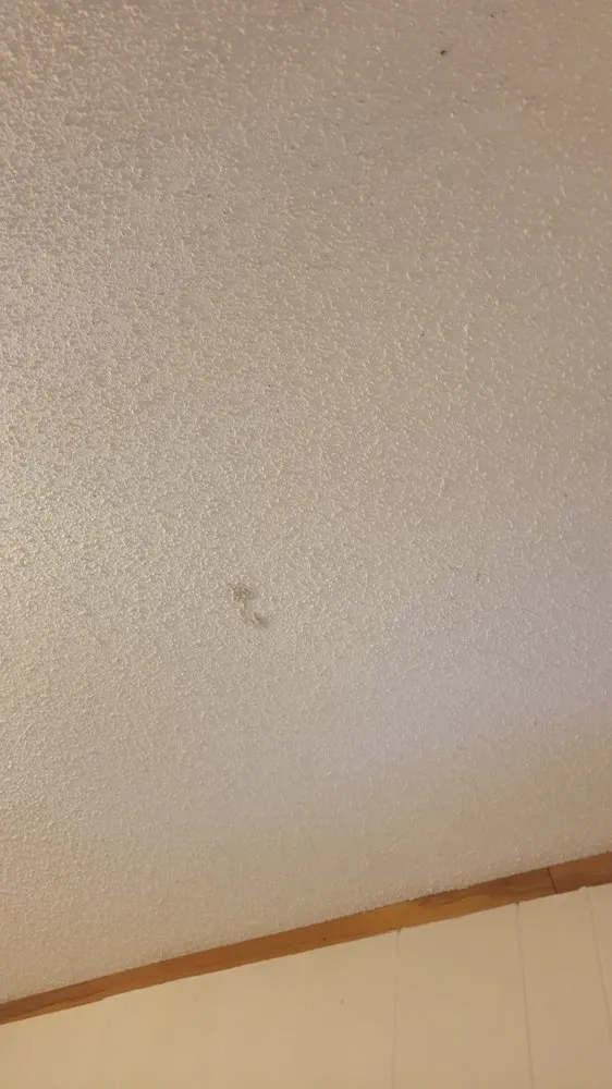 Reliable emergency plumbing service in Poplar Bluff, MO - Buffington Brothers Heating & Cooling