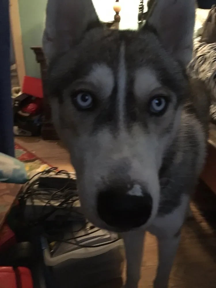 Top-rated leak detection in Poplar Bluff, MO by Buffington Brothers Heating & Cooling