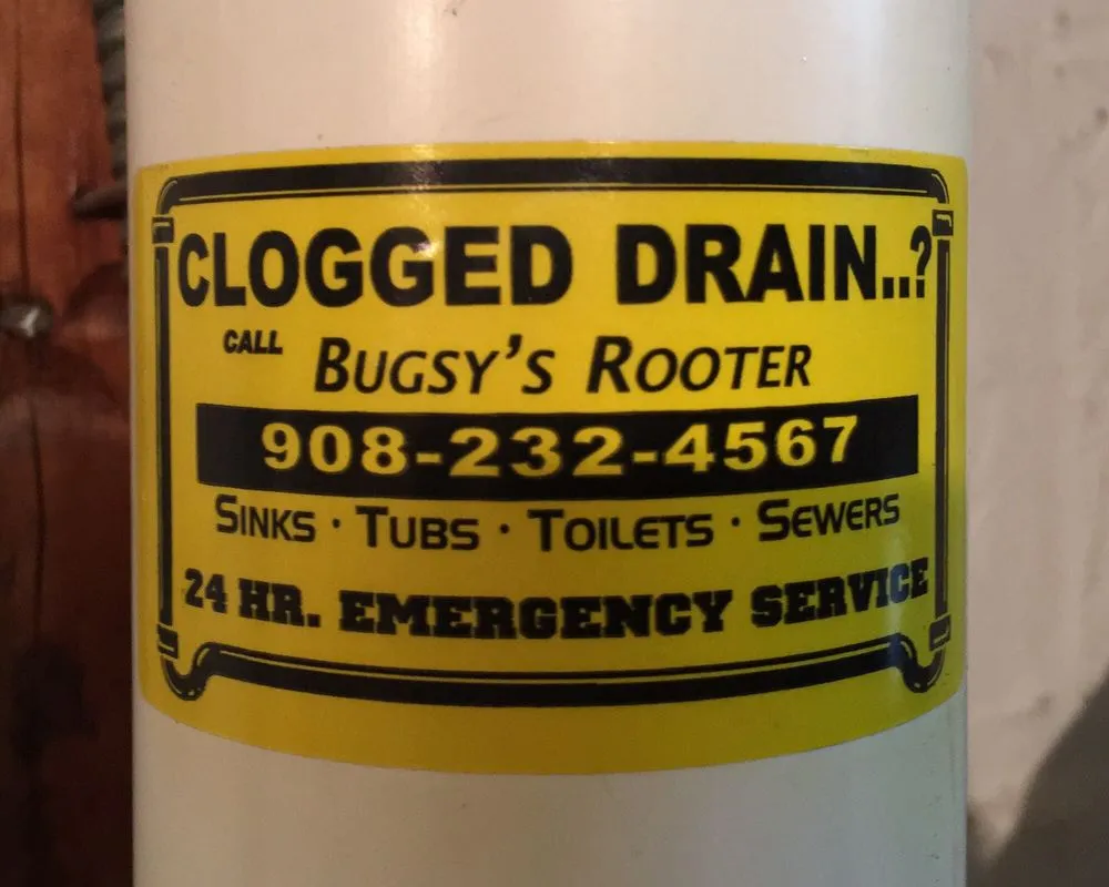 Slide of Bugsy's Rooter