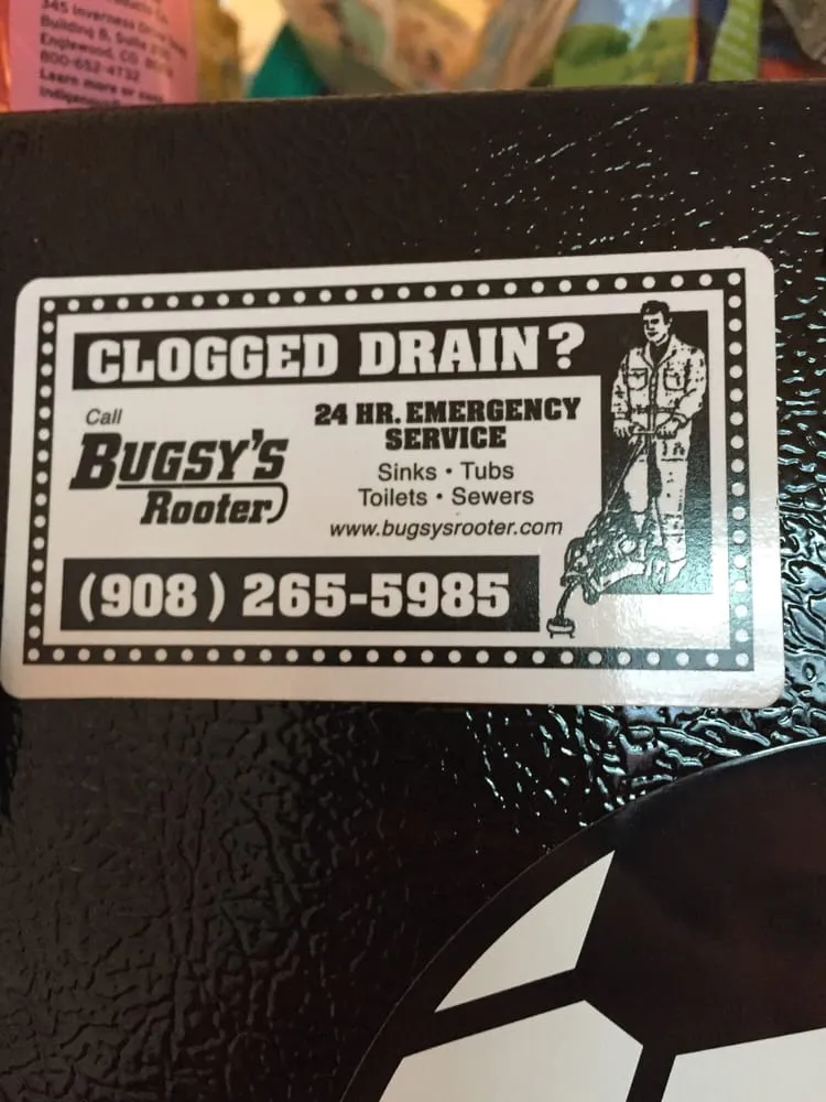 Slide of Bugsy's Rooter