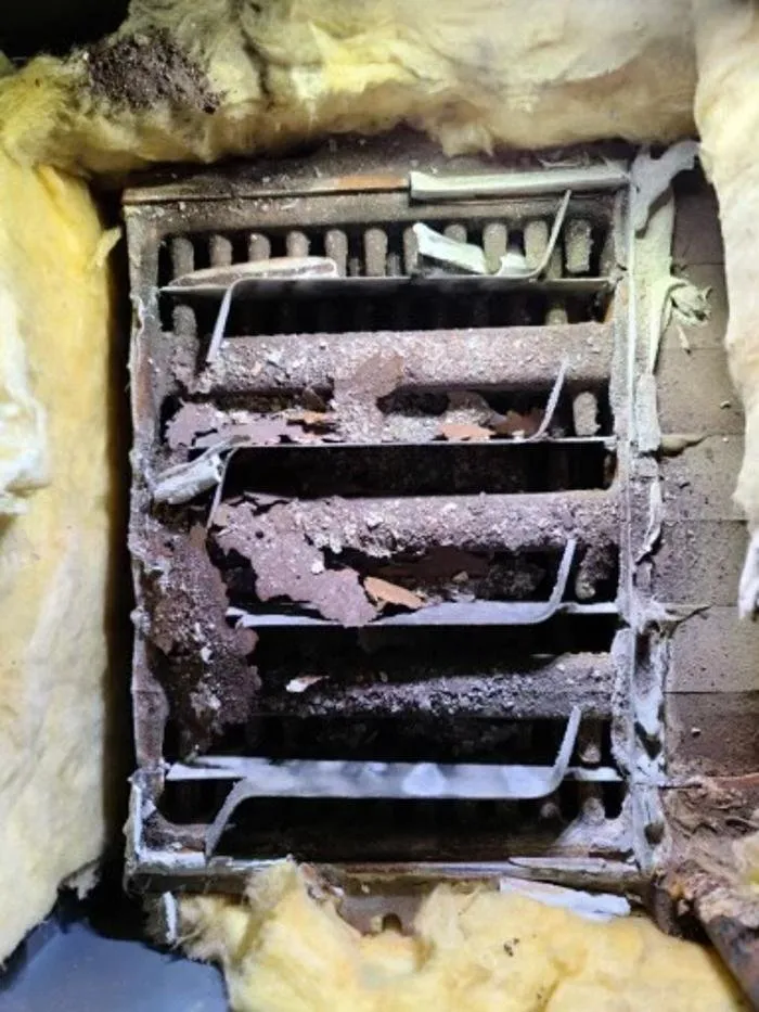 Top-rated leak detection experts serving Cheyenne, WY - Bull Ridge Plumbing & Heating