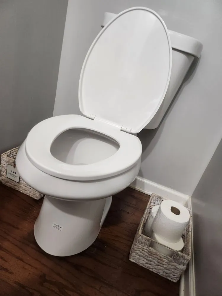 Slide of Bull Shark Septic