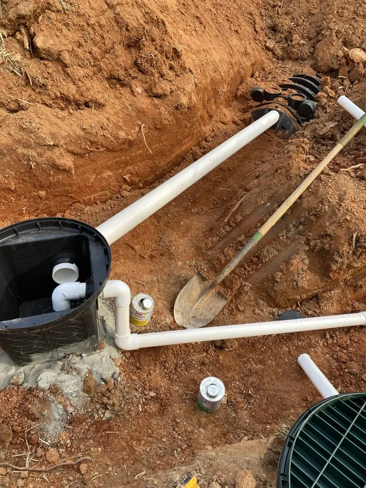 Slide of Bull Shark Septic