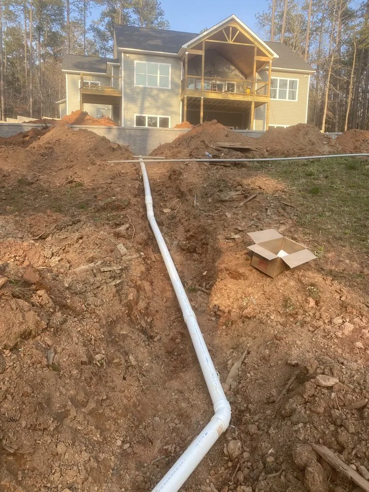 Slide of Bull Shark Septic