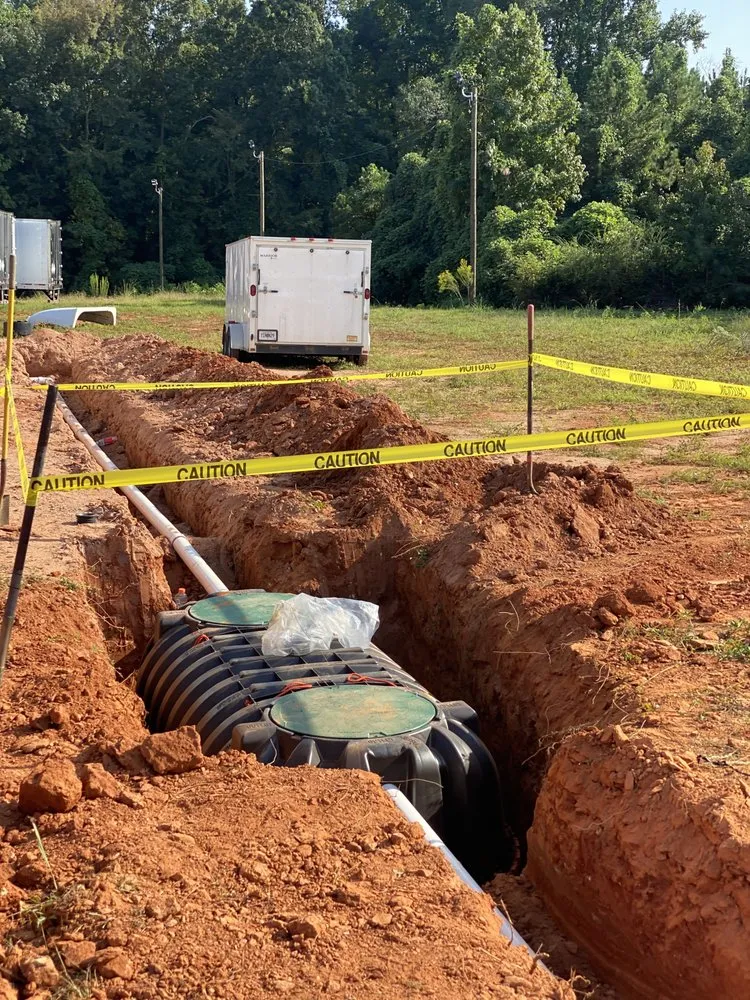 Slide of Bull Shark Septic