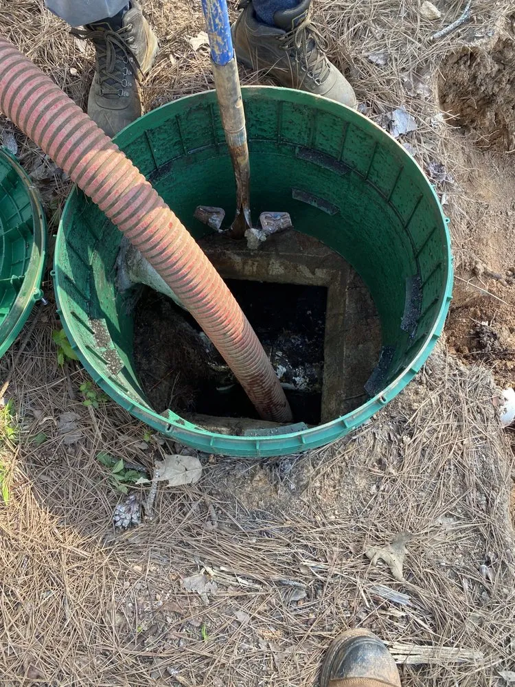 Slide of Bull Shark Septic