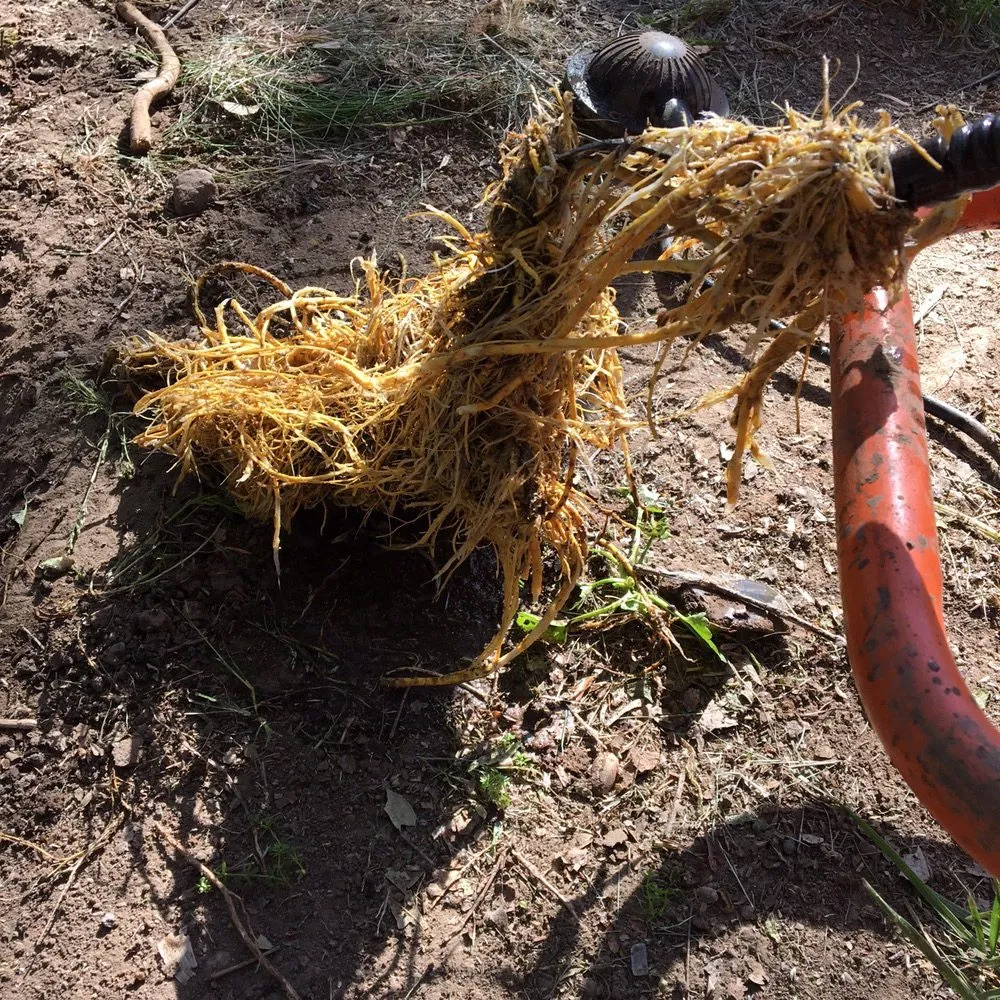 Slide of Bulldawg Plumbing