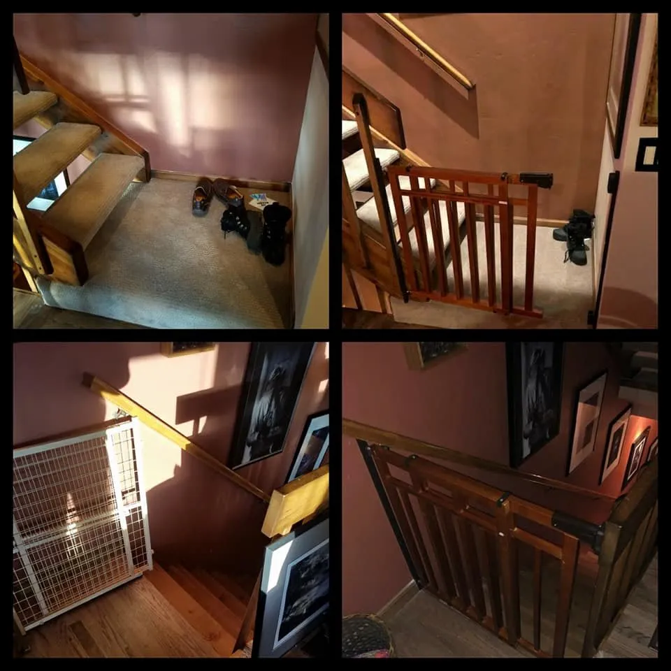 Slide of Bulldog Maintenance